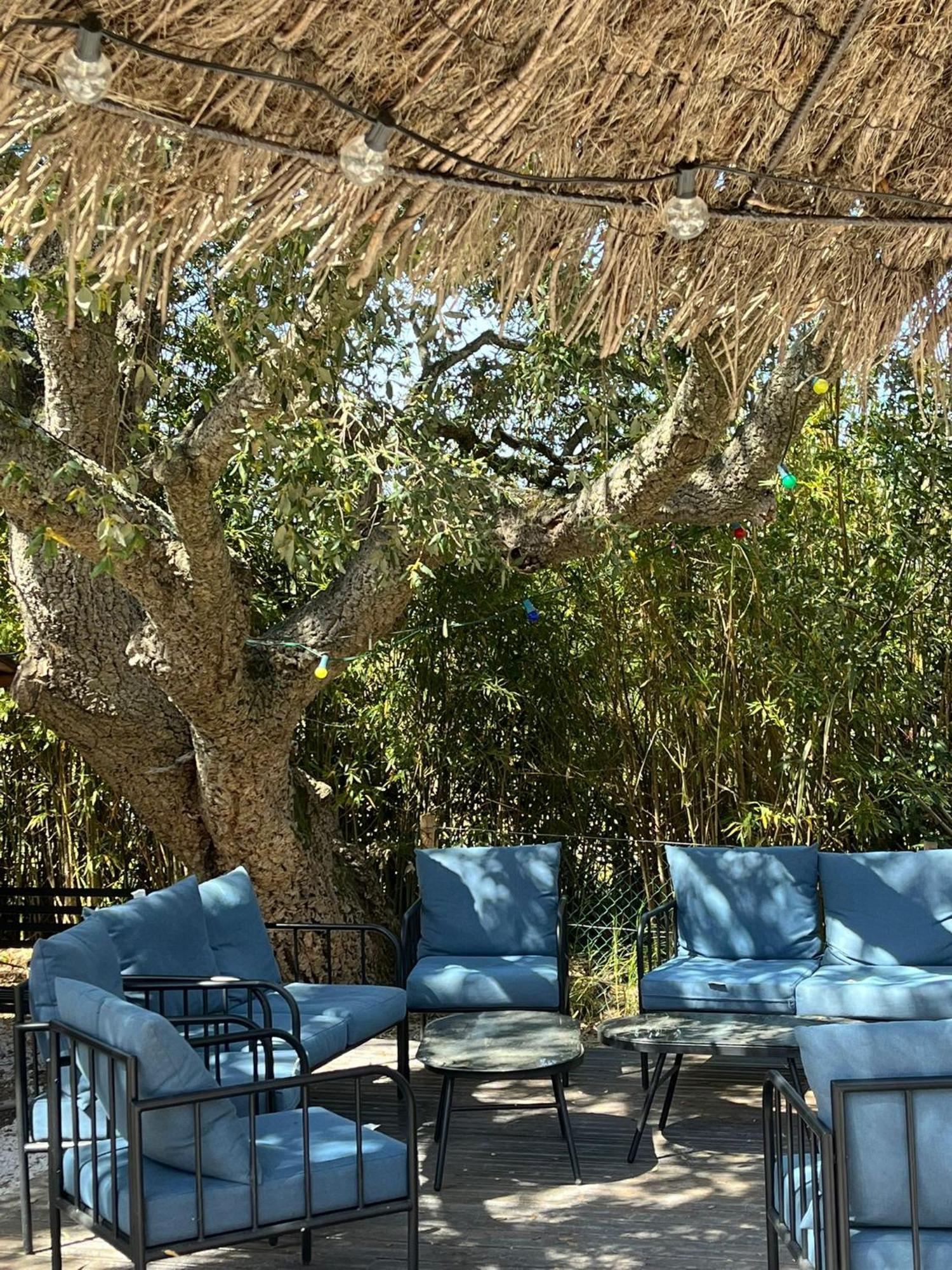 Lou Riou Village Vacances Saint-Tropez Exterior photo